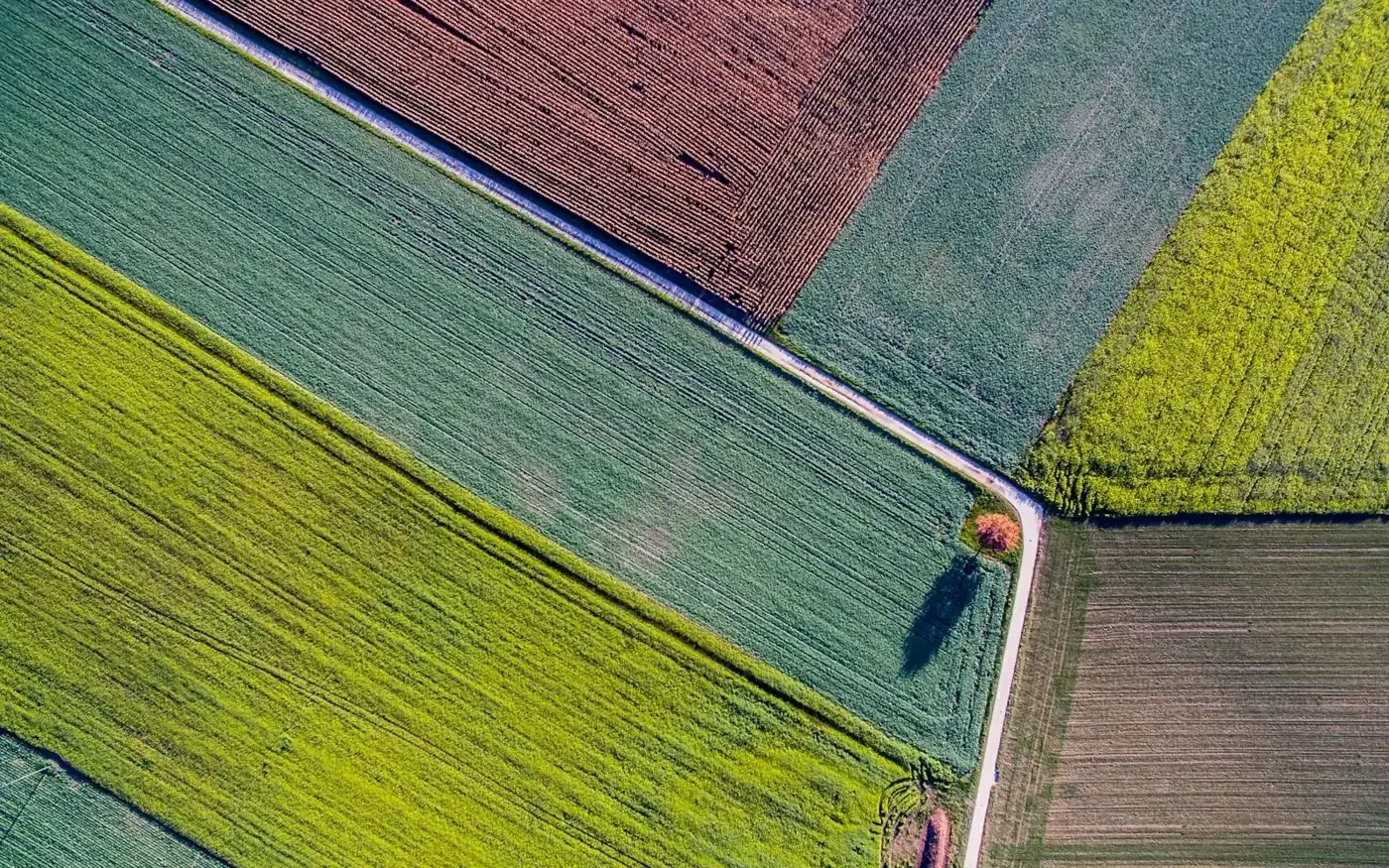 Aerial view of crop fields in a geometric patchwork